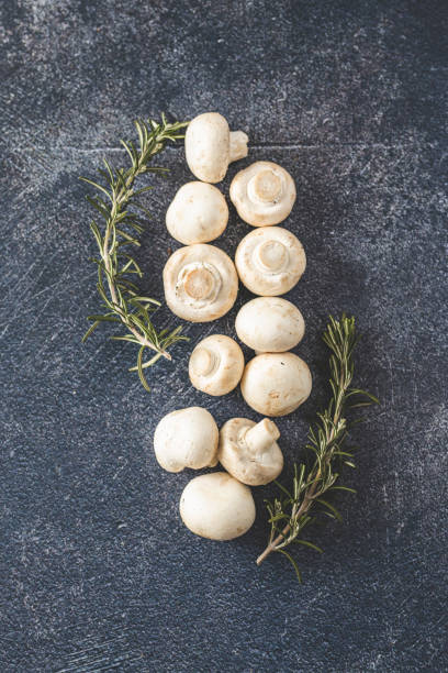 Organic mushrooms and rosemary isolated on dark background