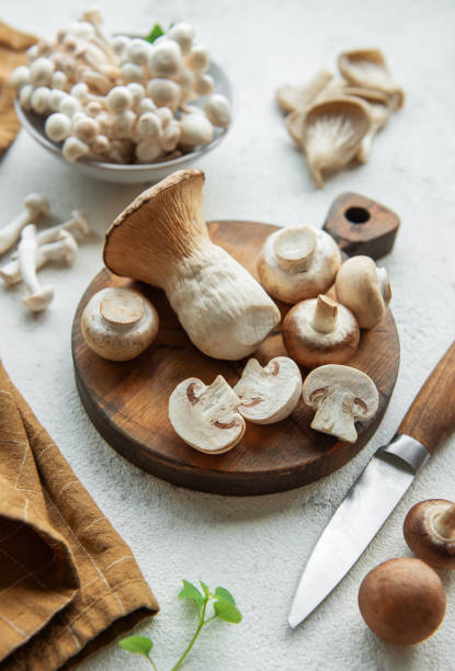 Assortment of various raw mushrooms on gray concrete background